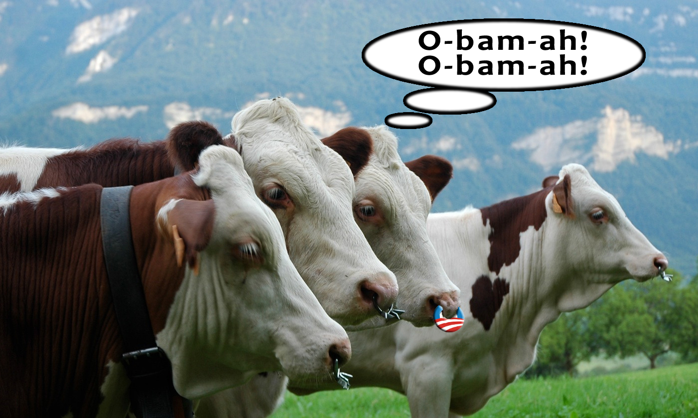 Meatless Monday – USDA Backs Down After Getting Caught